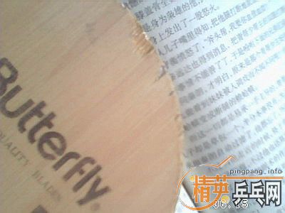 ��������ŵ