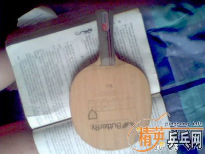 ��������ŵ