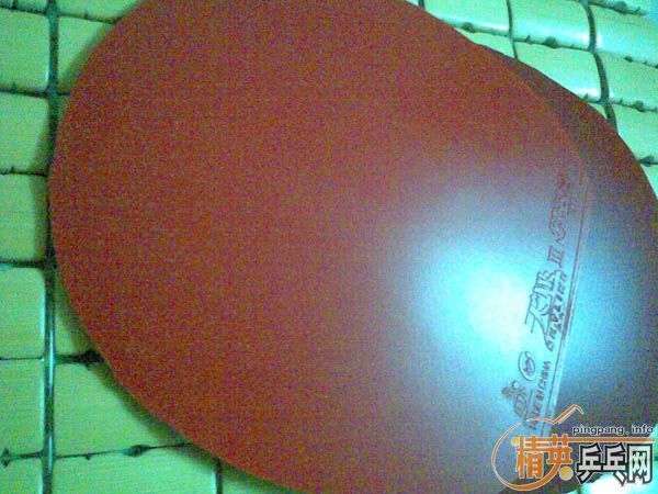 �����ѳ�STľ����