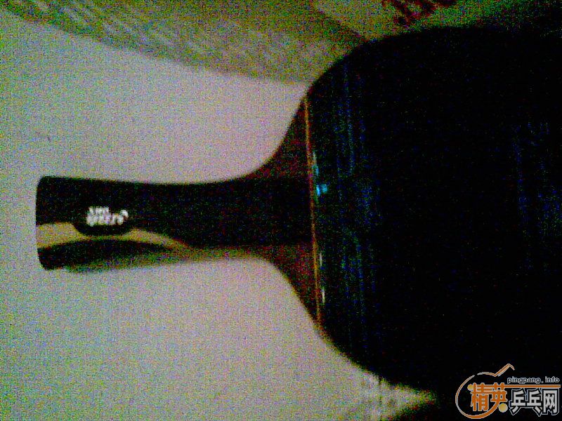 ����9���º�˫ϲ�����