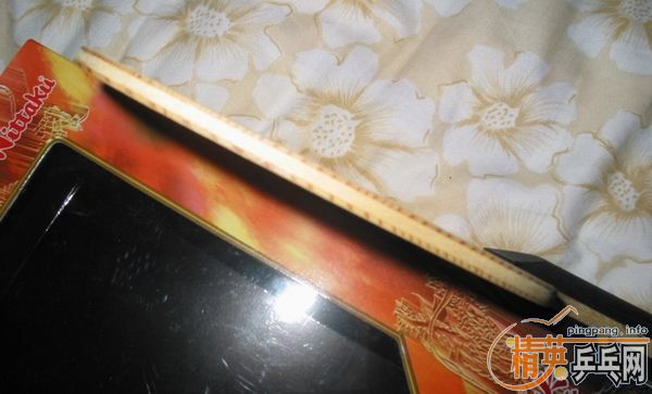 �����հ�NITTAKU-���-������(��)