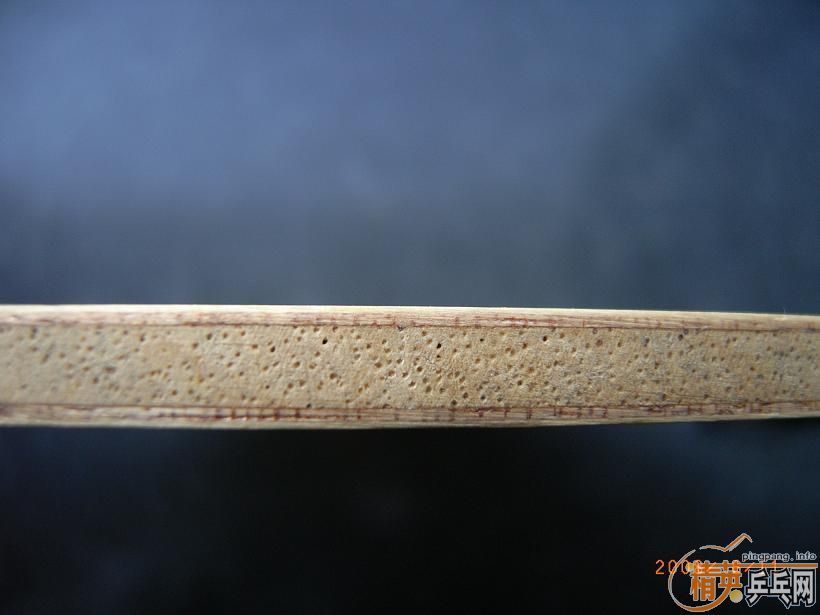 ��ͦ�ΰ���������