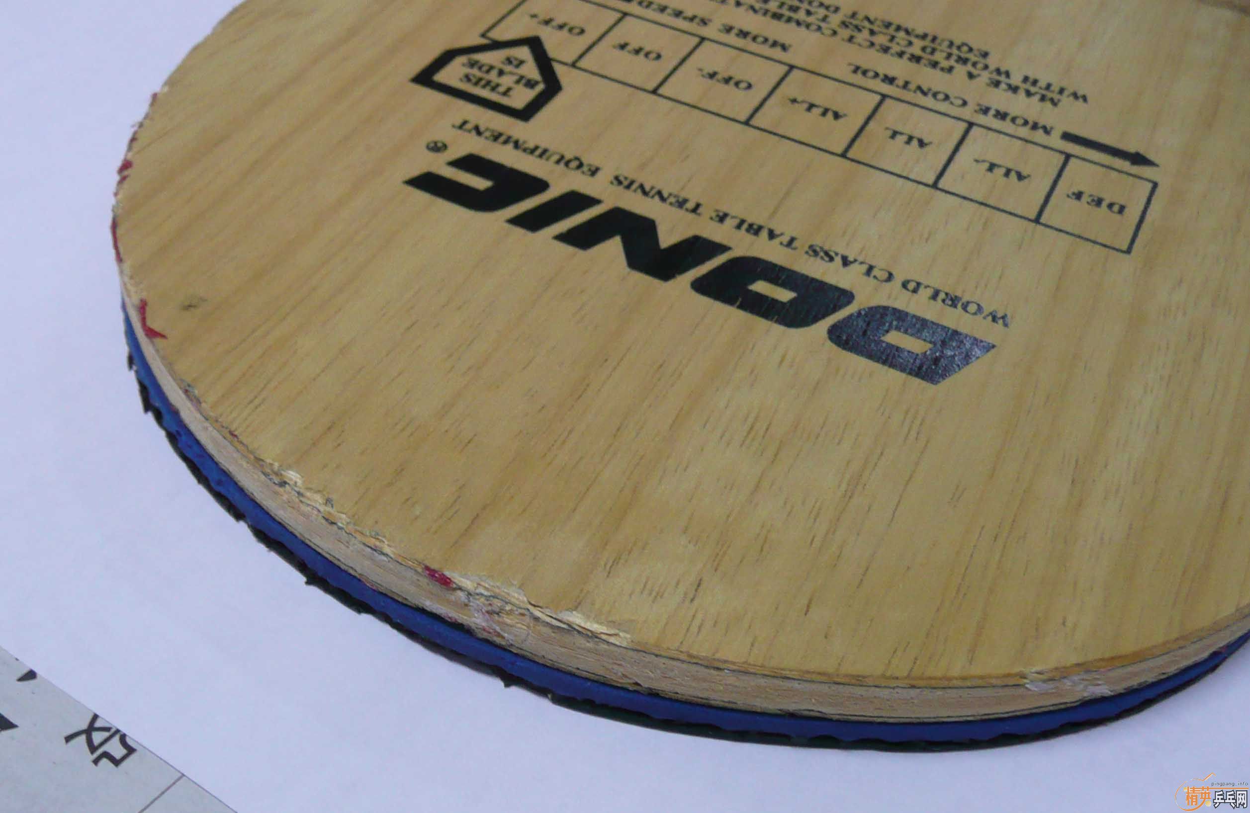 �����ģ����Ƶĳ�һֻ��֫����