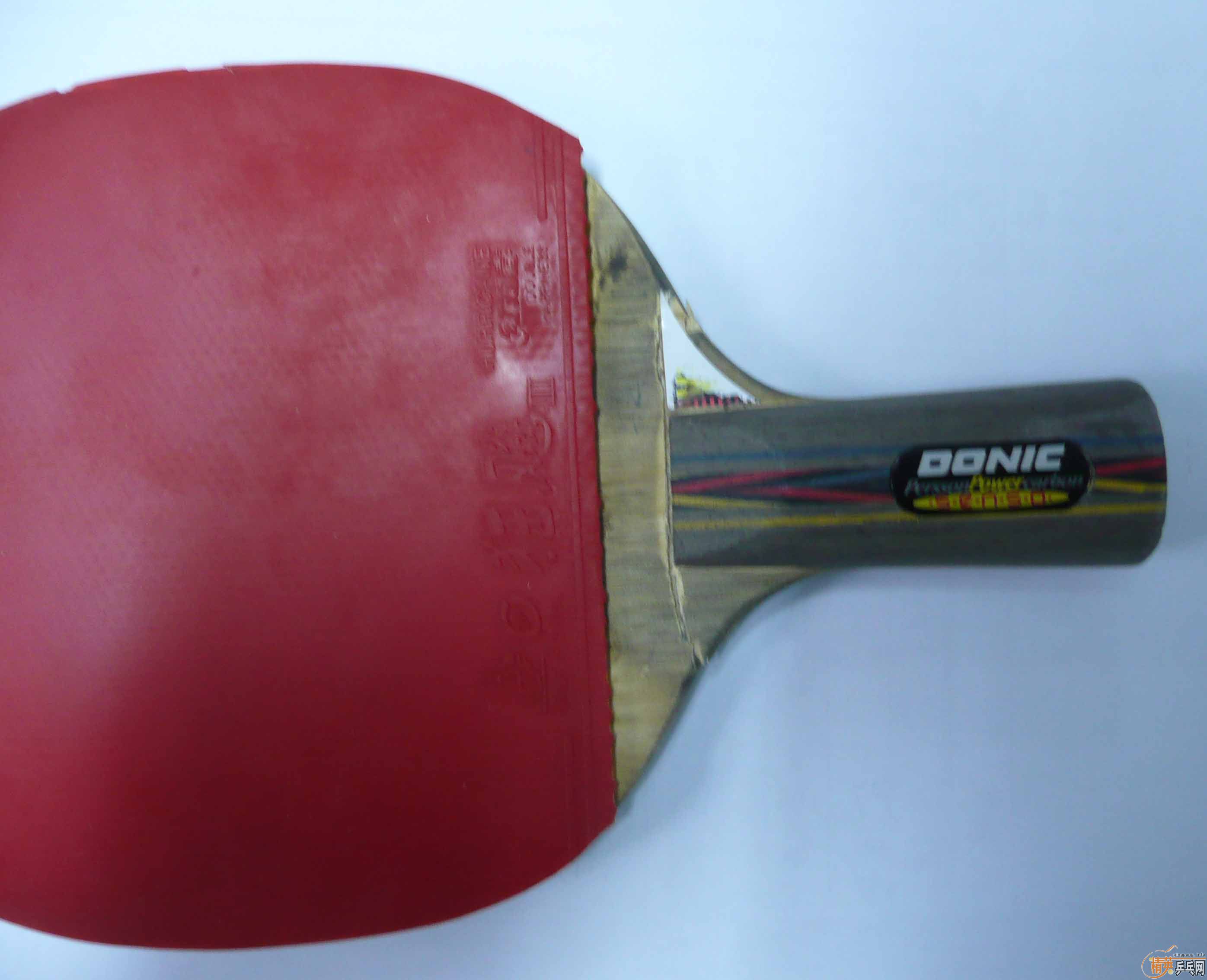 �����ģ����Ƶĳ�һֻ��֫����