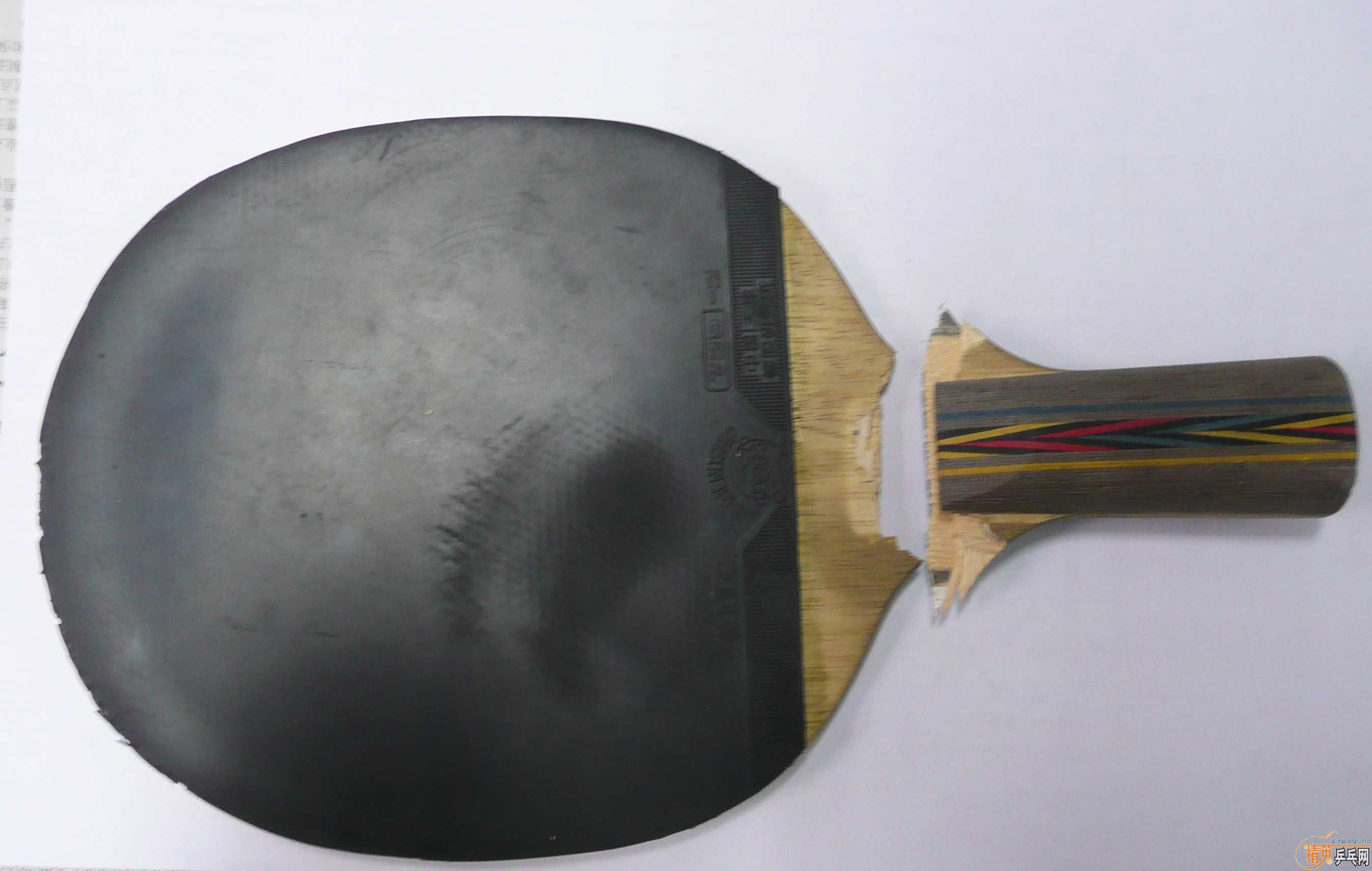 �����ģ����Ƶĳ�һֻ��֫����