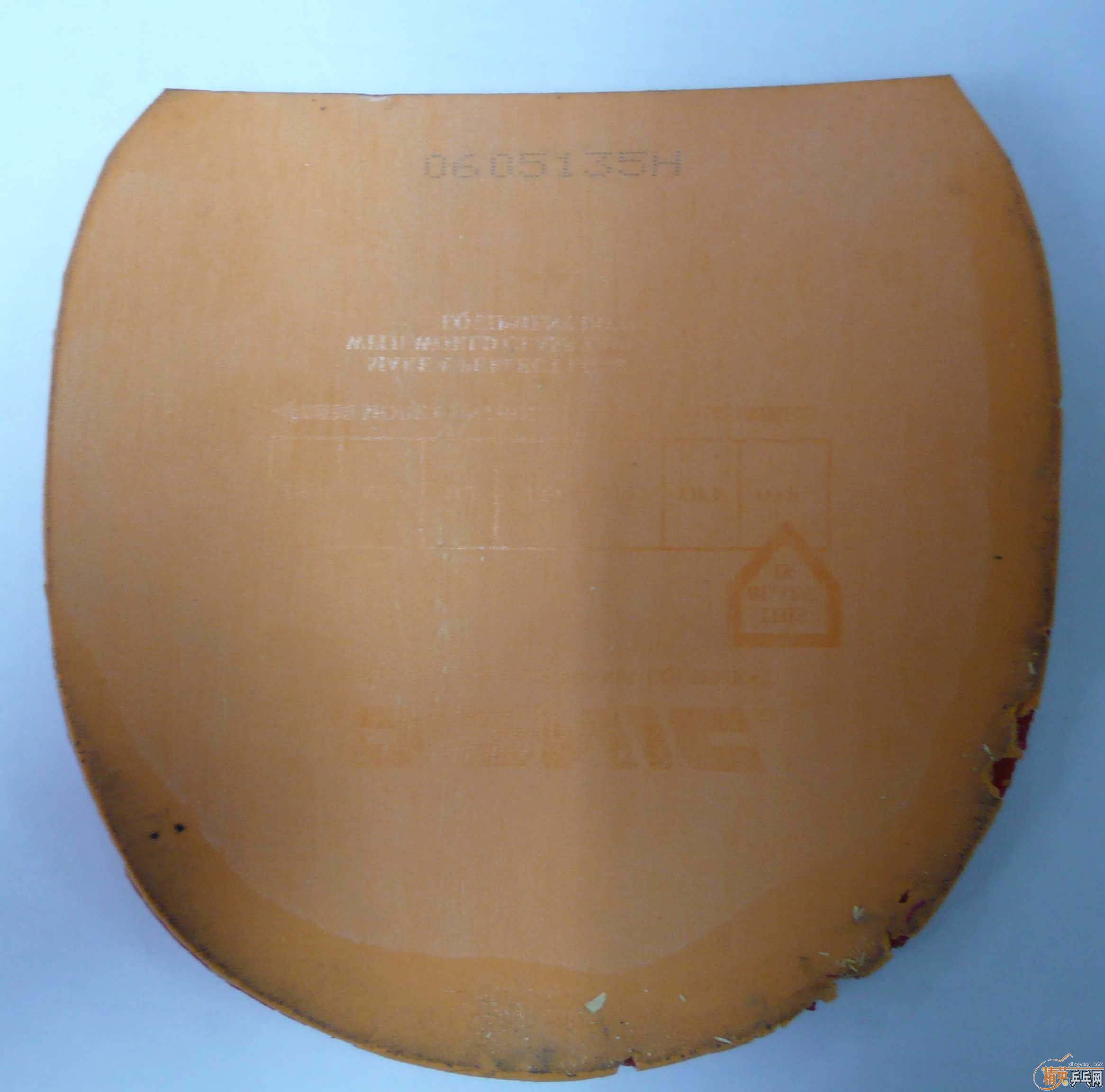 �����ģ����Ƶĳ�һֻ��֫����