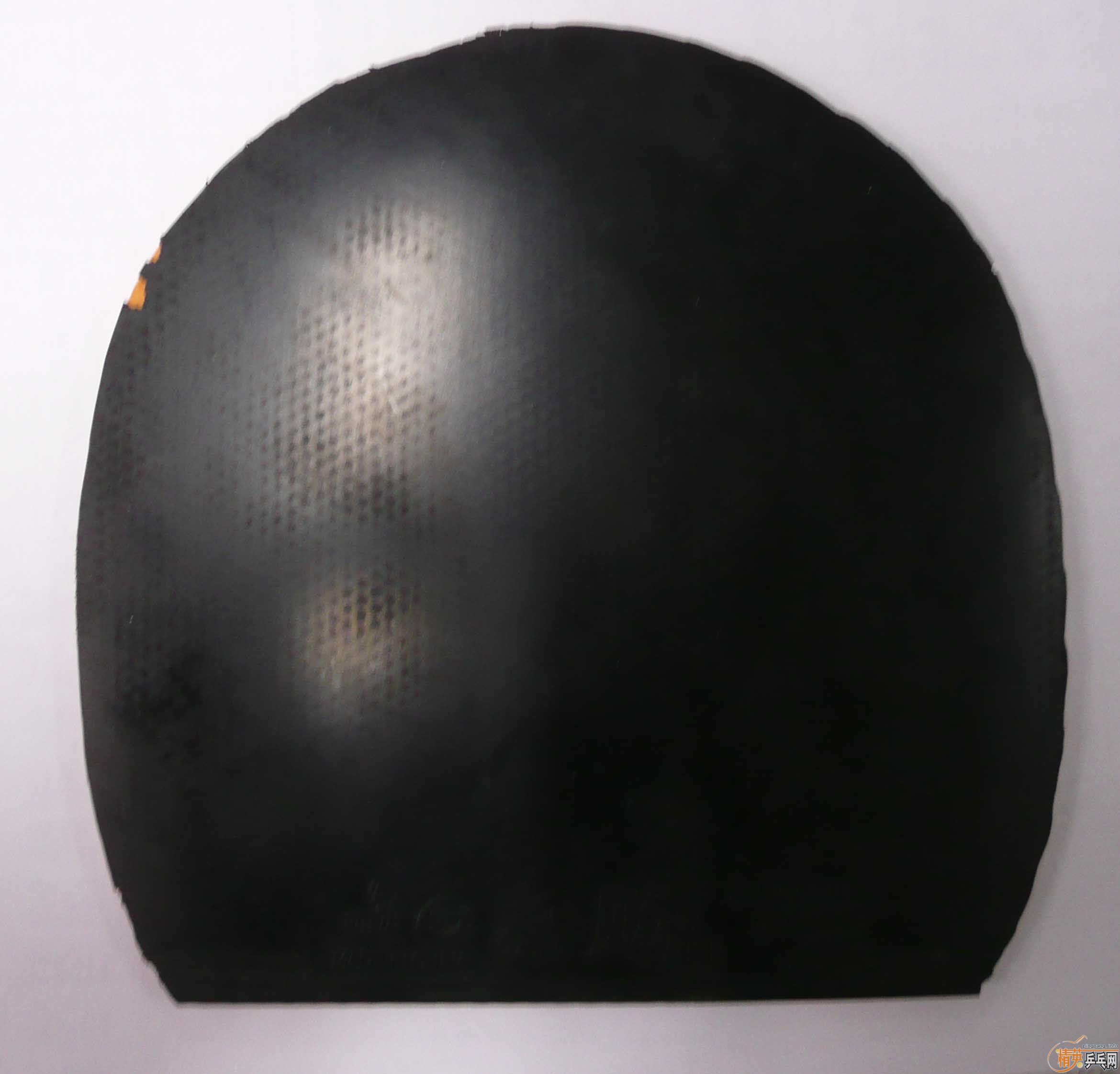 �����ģ����Ƶĳ�һֻ��֫����