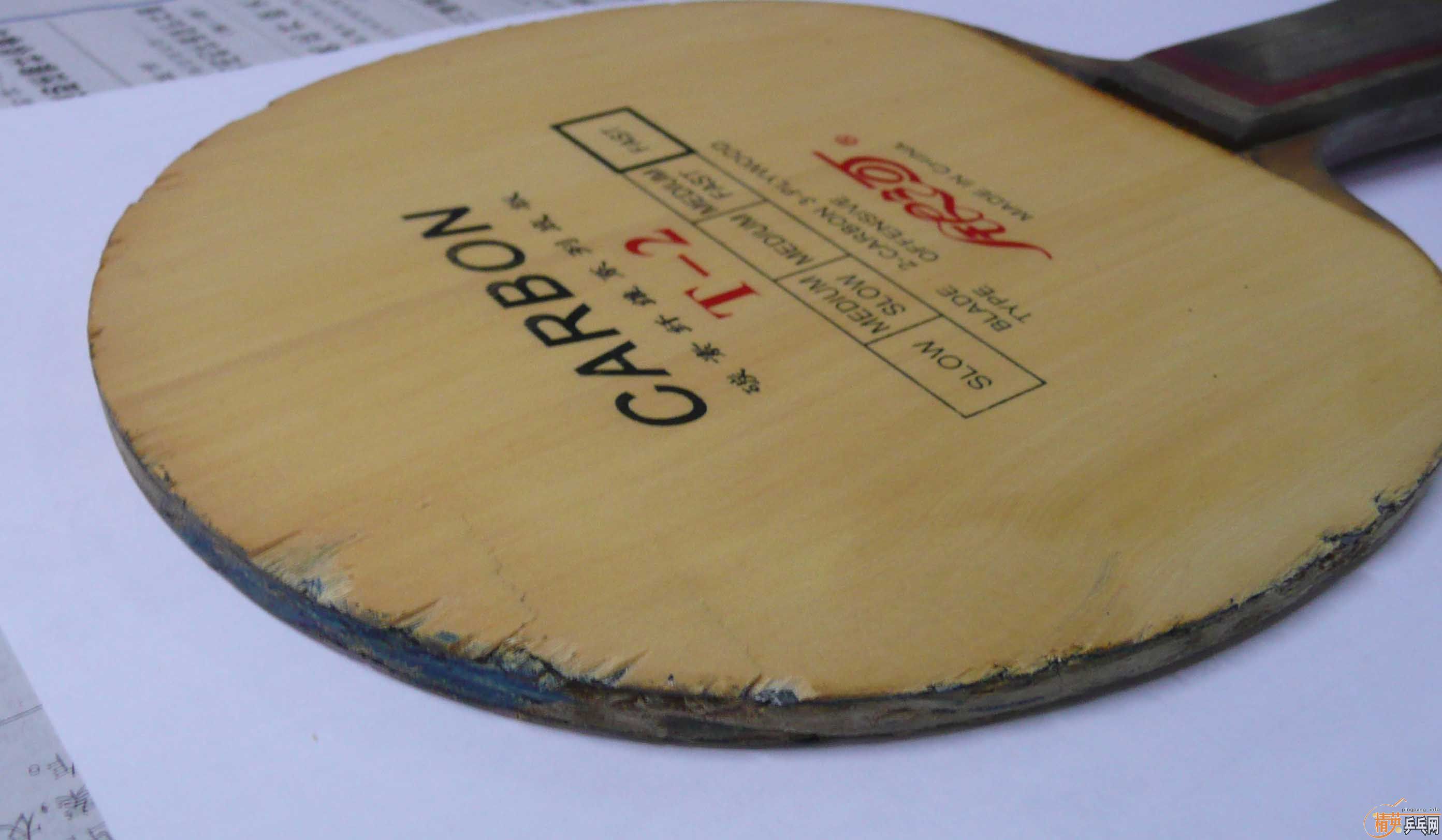 �����ģ����Ƶĳ�һֻ��֫����