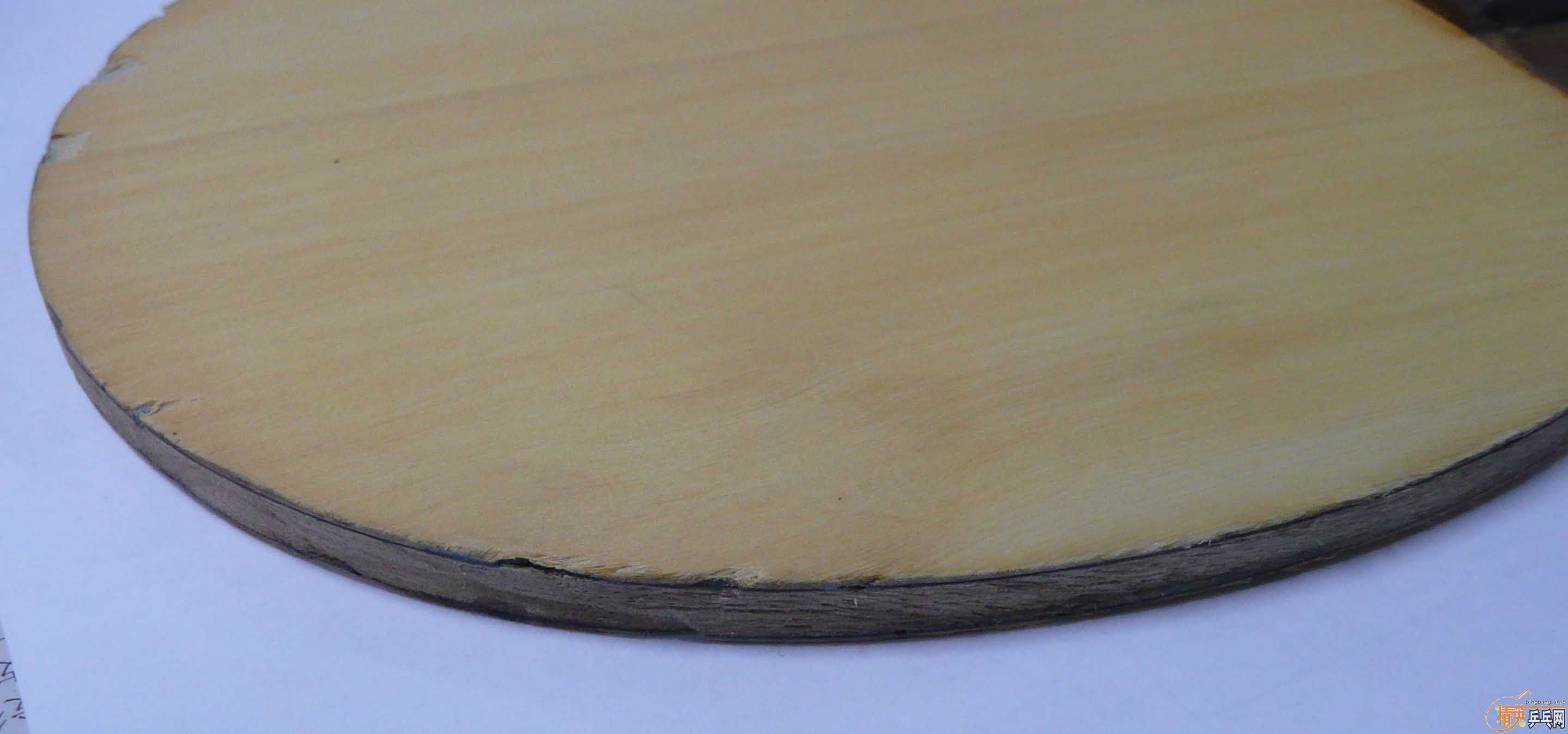 �����ģ����Ƶĳ�һֻ��֫����