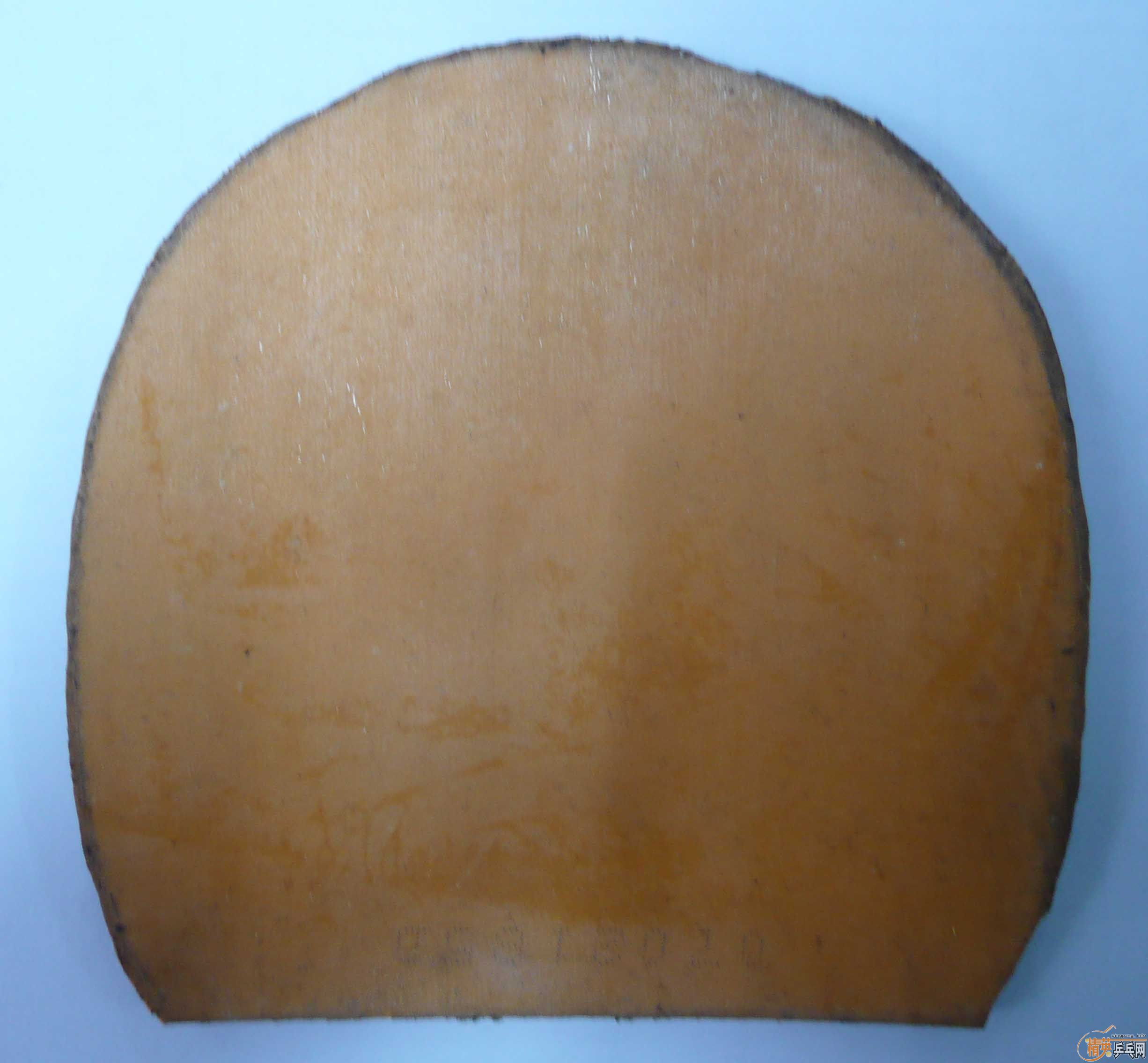 �����ģ����Ƶĳ�һֻ��֫����