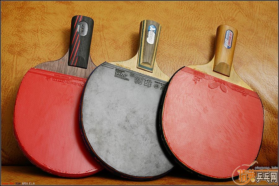 ����������SPEED