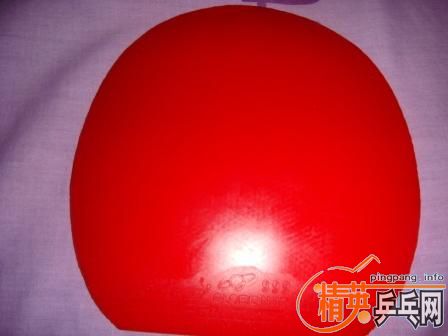 �����Ͼ��ܴ�ѧ����һ�����õ�ƹ������ͽ�Ƥ�·�