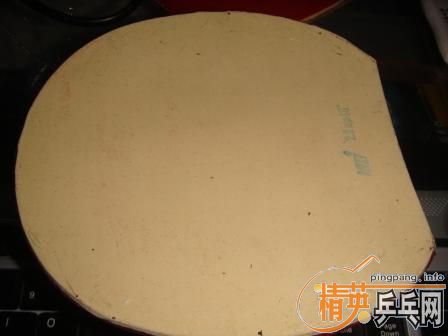 �����Ͼ��ܴ�ѧ����һ�����õ�ƹ������ͽ�Ƥ�·�