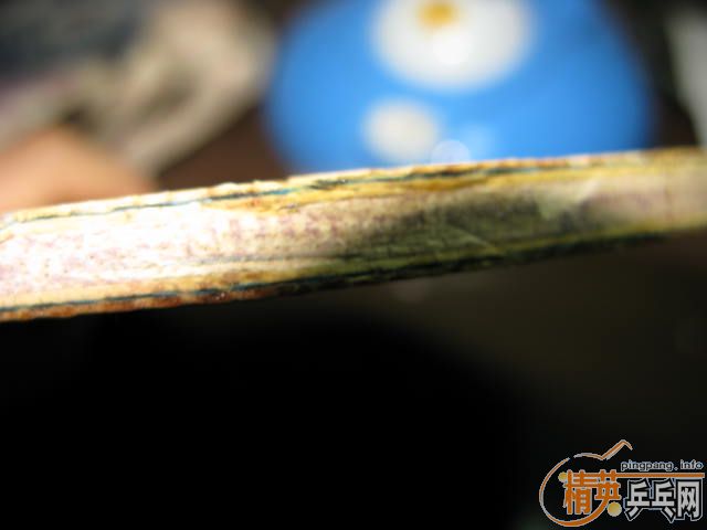 �׼۳�һ֧729��Ծ2�װ弰��Ƥ