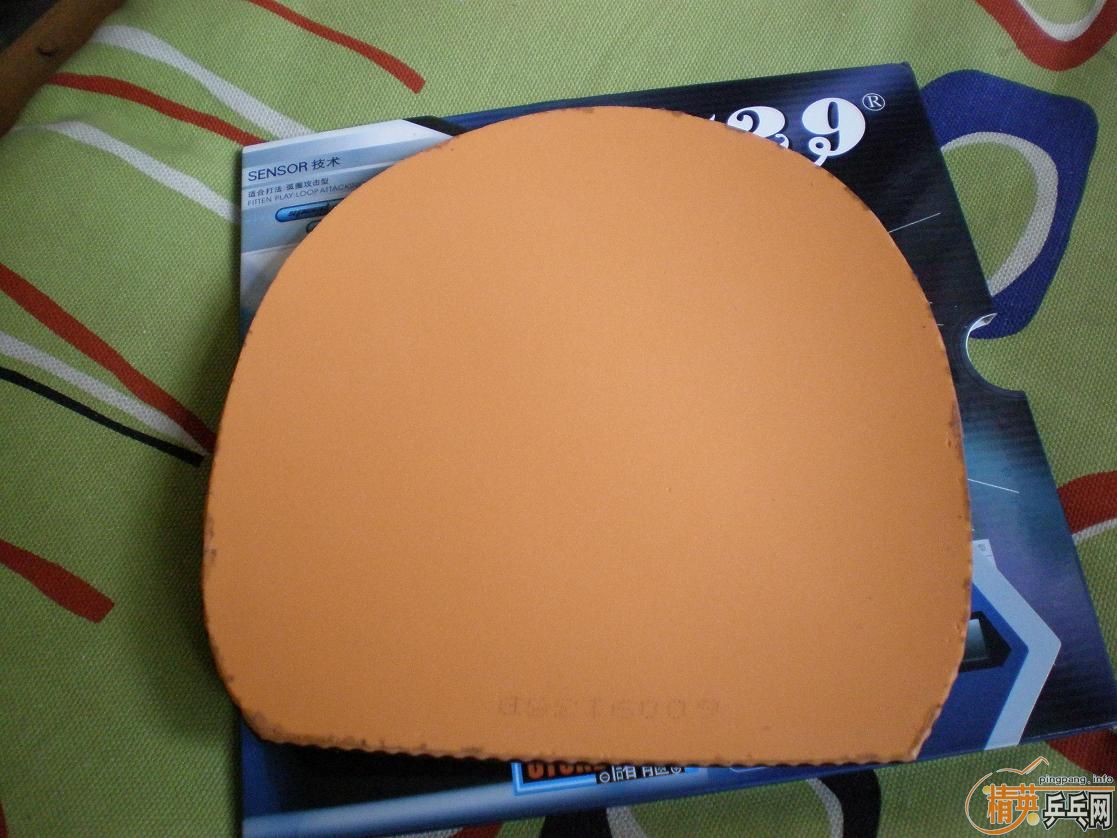 ������ε�H WH�����ó�