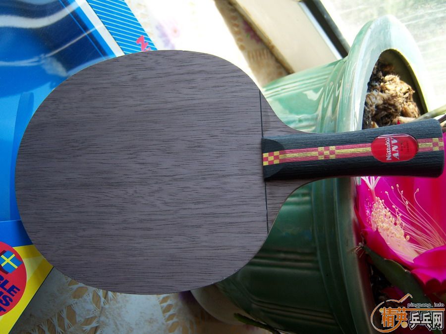 ��������û�����������ANV  WL  FL��