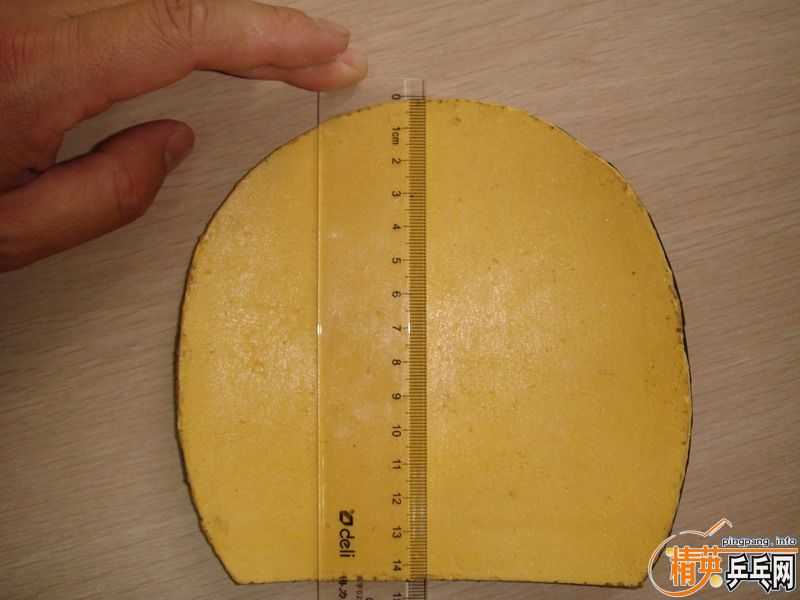 ���ۺ�ɫNITTAKU��Ƥ���ɫSTIGA��Ƥ