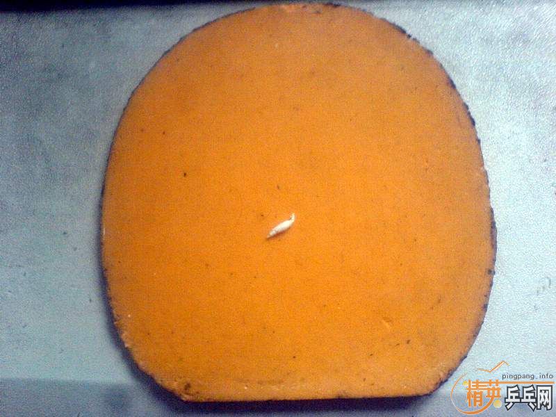 [ԭ�������׽�������+SRIVER-FX��