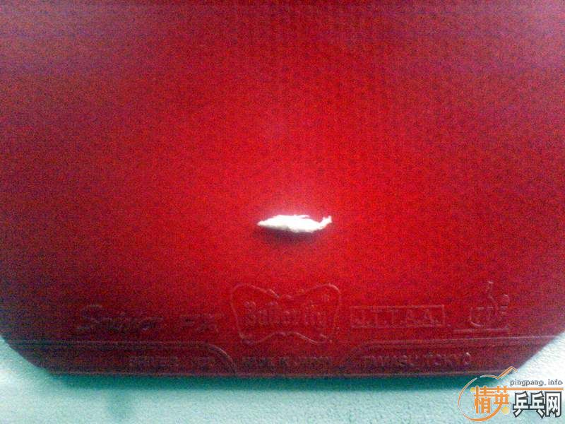 [ԭ�������׽�������+SRIVER-FX��