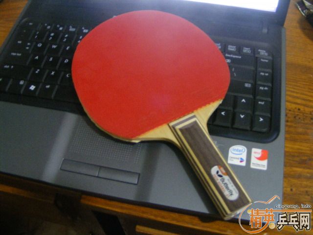 �Ʊ��� ST   �²����Լ�������