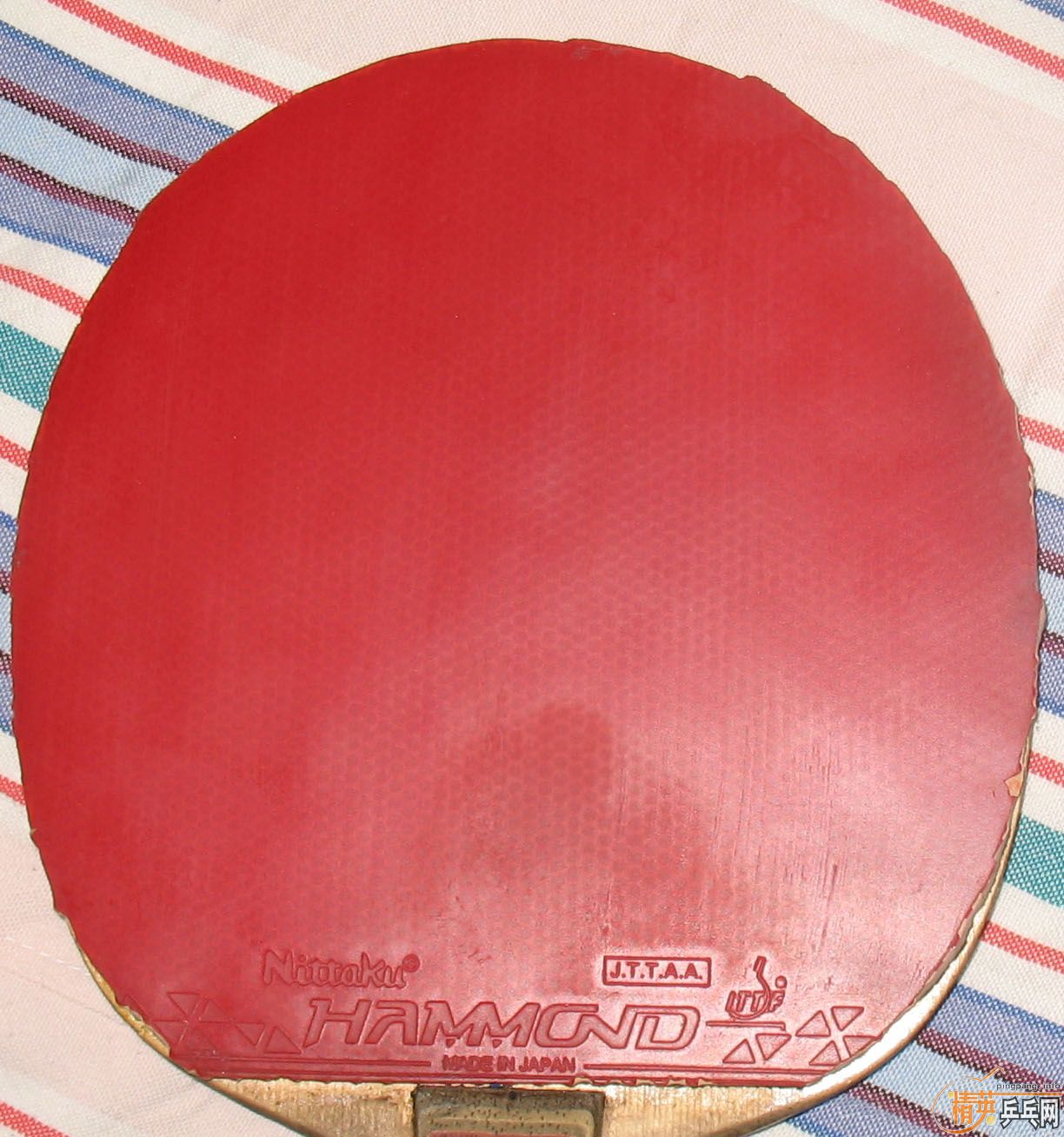 ������,�켫2��Ƥ��ʡ��(ͼƬ����)