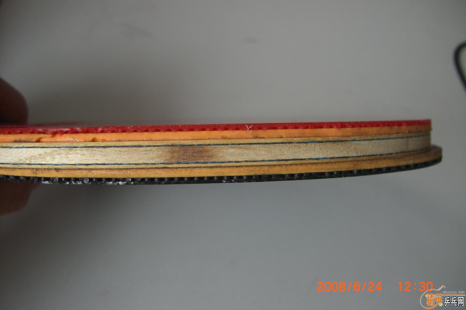 9.5�� VISCARIA-LIGHT-FL 550Ԫ�������տ�2