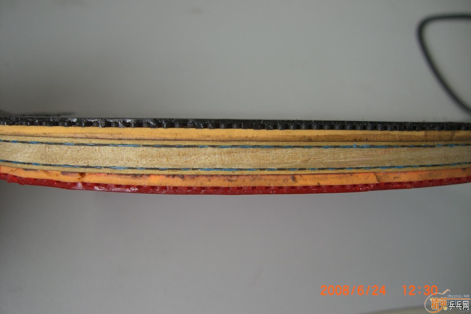 9.5�� VISCARIA-LIGHT-FL 550Ԫ�������տ�2