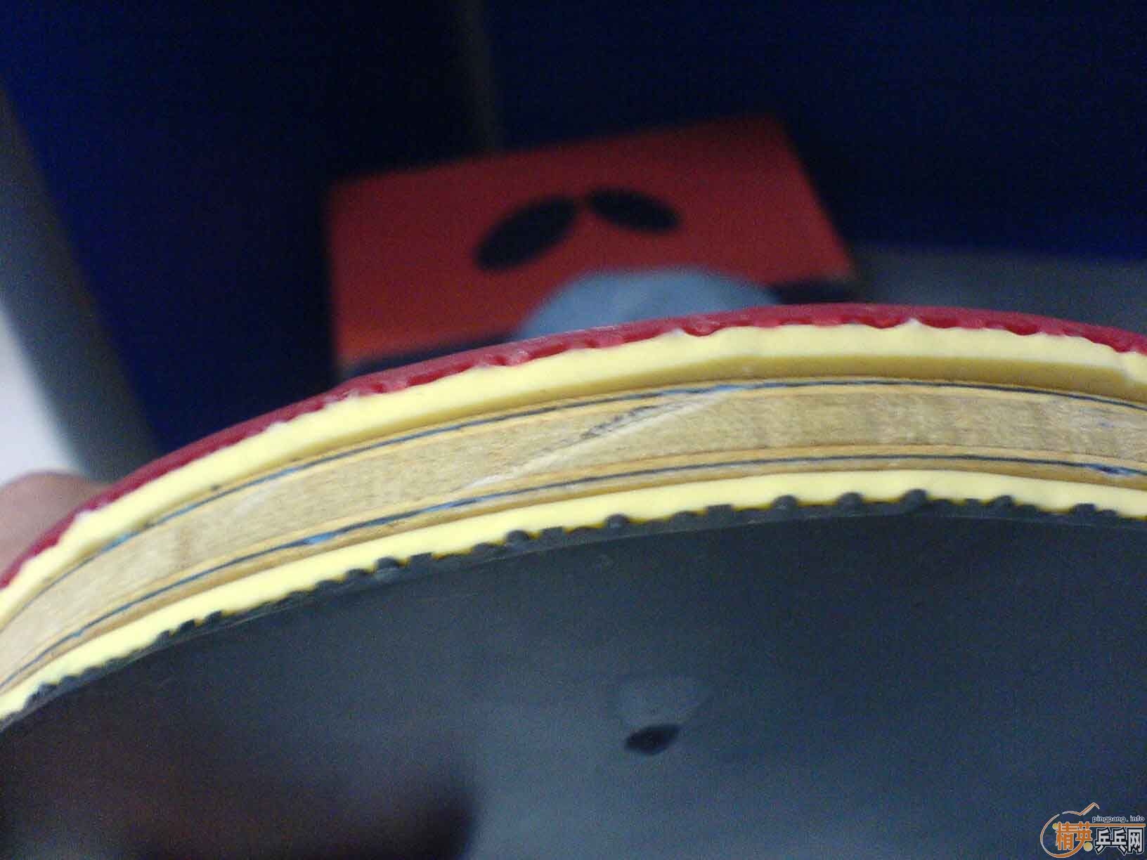 ���� K5 (�º�����)  110����(����)    ����