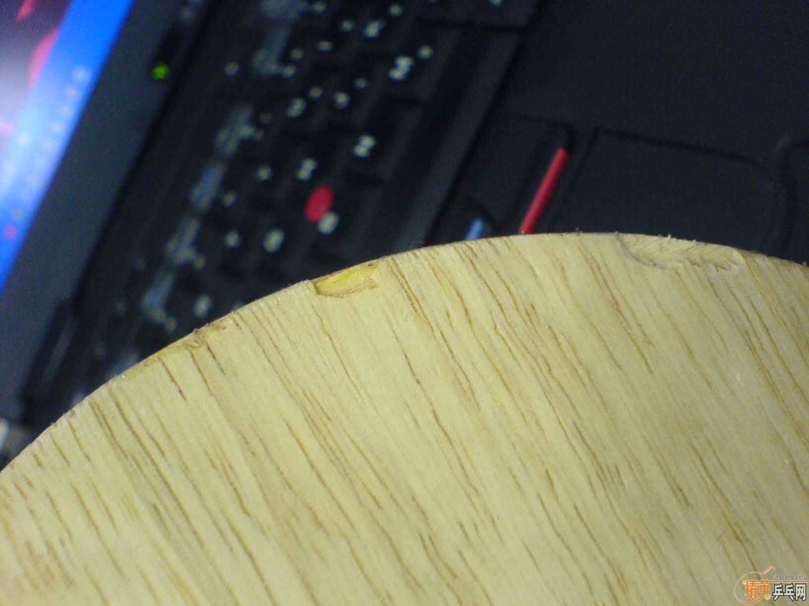 sitga CL(��) FL�� 200������ ����ֱ��