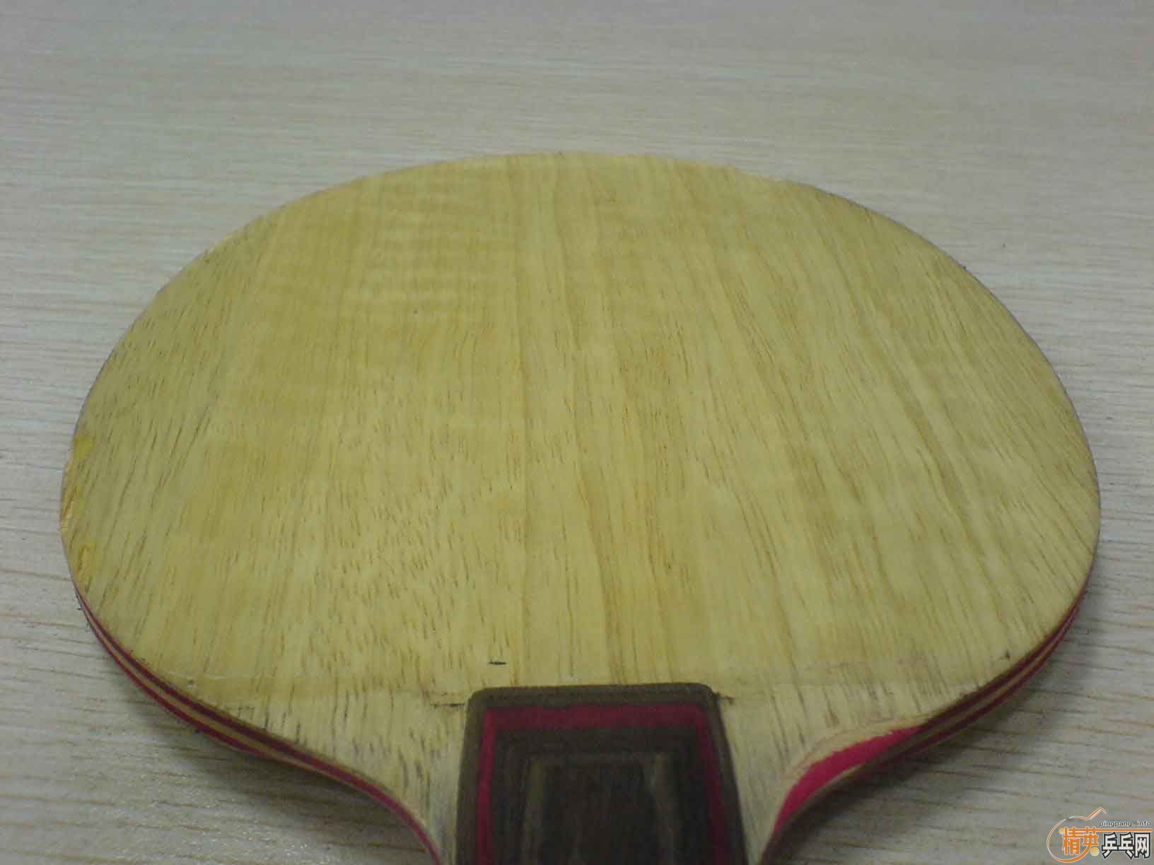 sitga CL(��) FL�� 200������ ����ֱ��