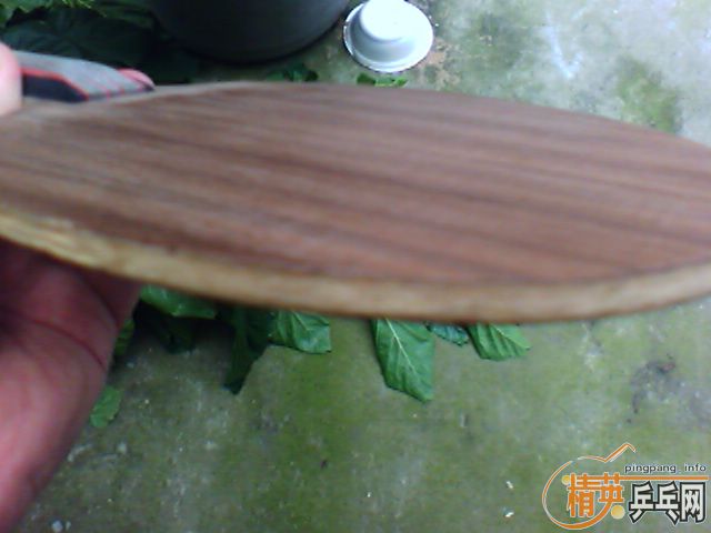 ��YE2��һЩ��������