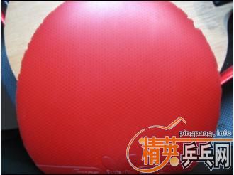 ��8����ֱ��YE+��ͣ������290