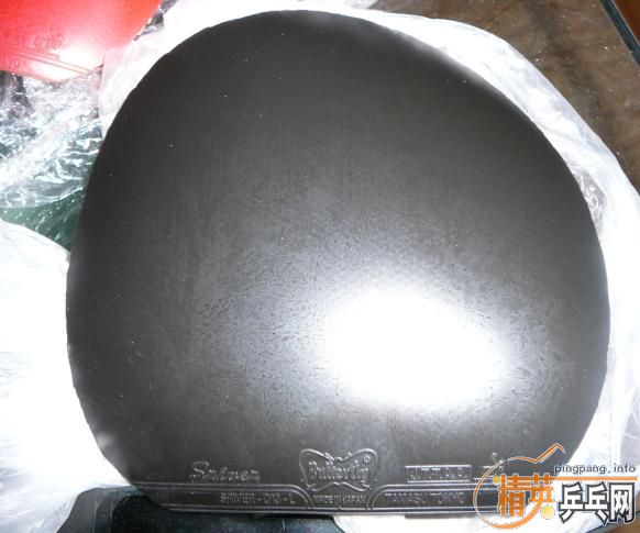 ��95�´��FX EL L