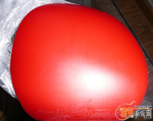 ��95�´��FX EL L