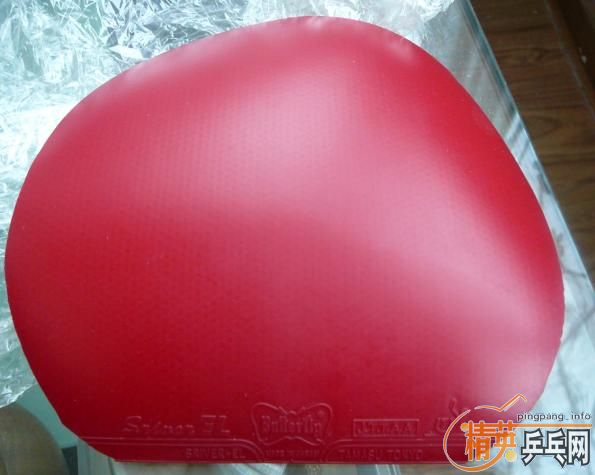 ��95�´��FX EL L