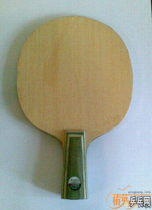 ���Ƽ��ݳ�95���º�����ֱ��