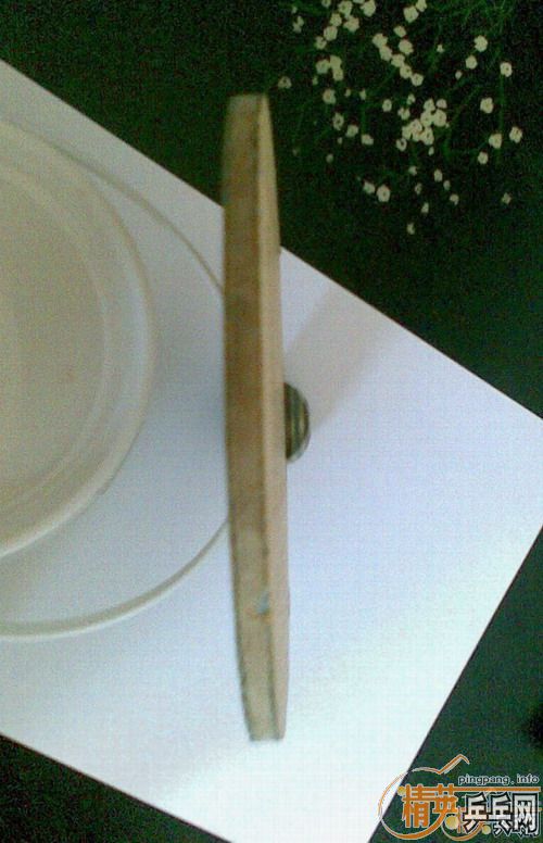 ���Ƽ��ݳ�95���º�����ֱ��