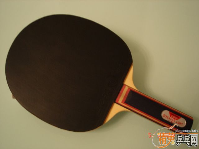 ʩ��̿��ye,���ɭ�ٶ�һ����1000Բ����ͼ����9.5����