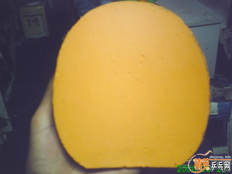 ���ͼ۳����Ž�Ƥ