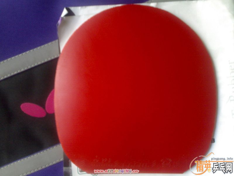 ���ͼ۳����Ž�Ƥ