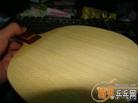 350���ʳ�NITAKKUֱ��R5�����߻�������