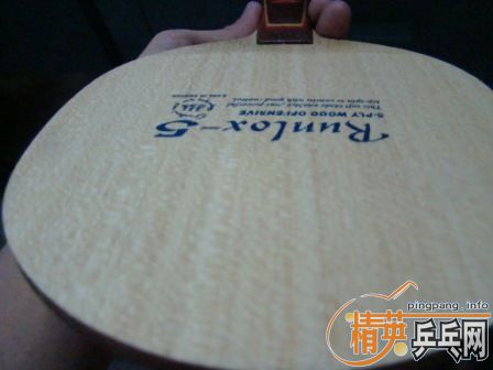 350���ʳ�NITAKKUֱ��R5�����߻�������