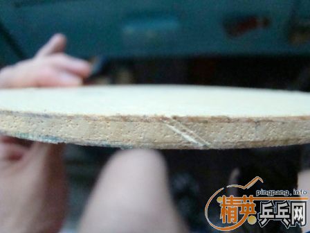 350���ʳ�NITAKKUֱ��R5�����߻�������