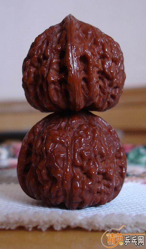 ȫжףףҶڿ֣