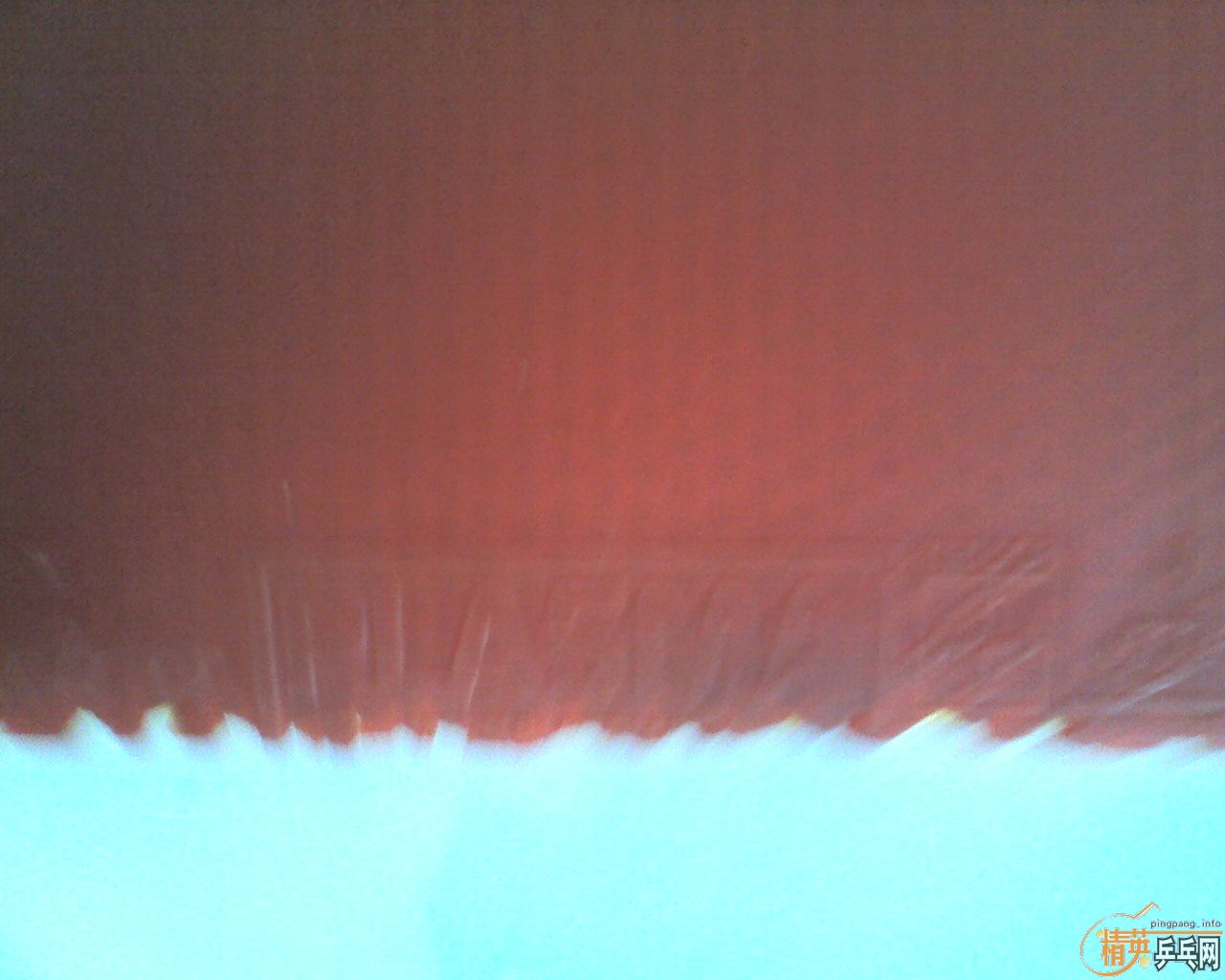 �����һ�ѽ�Ƥ