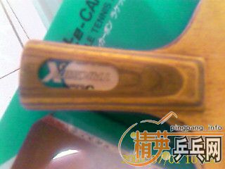 380���ʳ�������һֻ