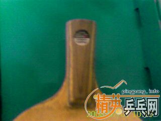 380���ʳ�������һֻ