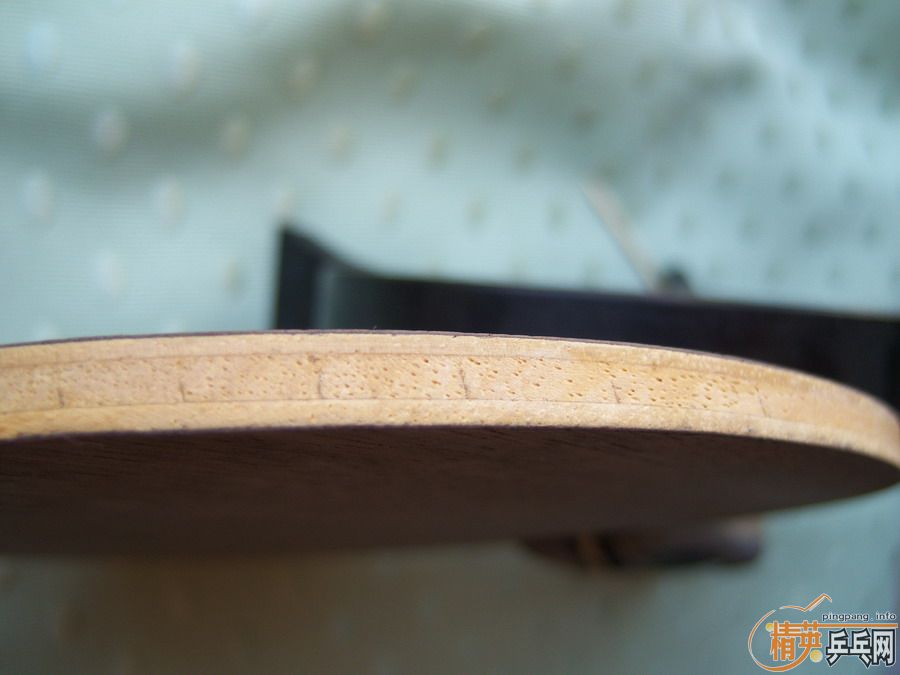 ��˹�Ŀ�������300����