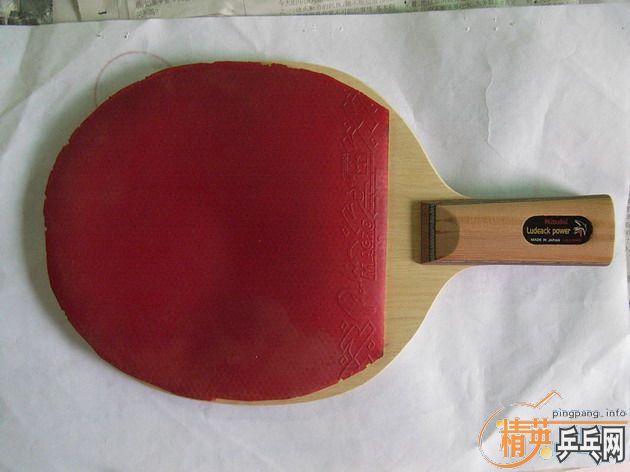 ��ֻ9��������С��ֱ��,����������,800����