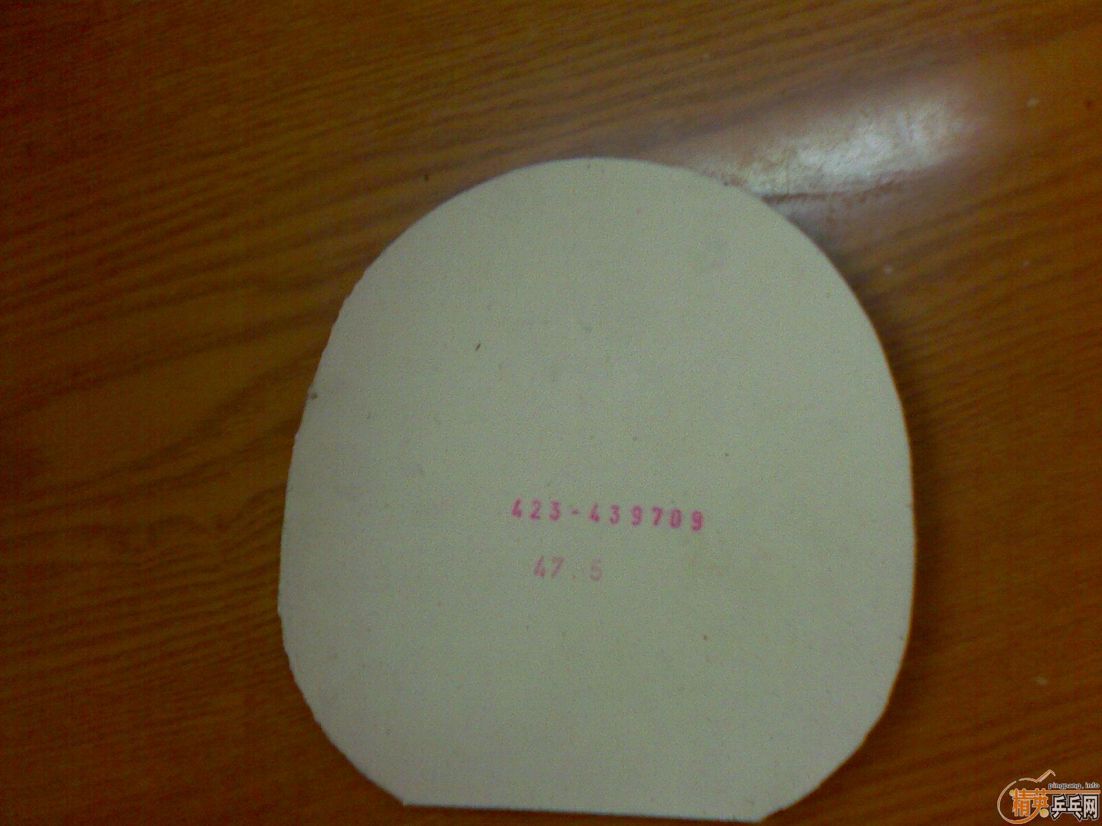 98ľfl鶥׽05fl